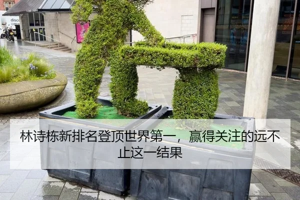 lin-shi-dong-xin-pai-ming-deng-ding-shi-jie-di-yi-ying-de-guan-zhu-de-yuan-bu-zhi-zhe-yi-jie-guo-2-135.jpg